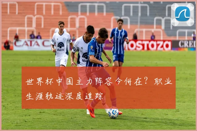 世界杯中国主力阵容今何在?职业生涯轨迹深度追踪