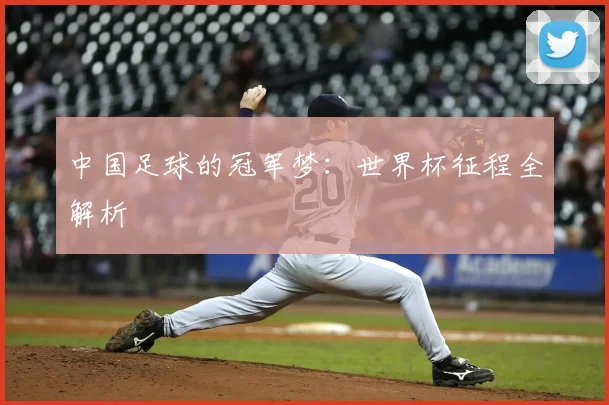 中国足球的冠军梦:世界杯征程全解析