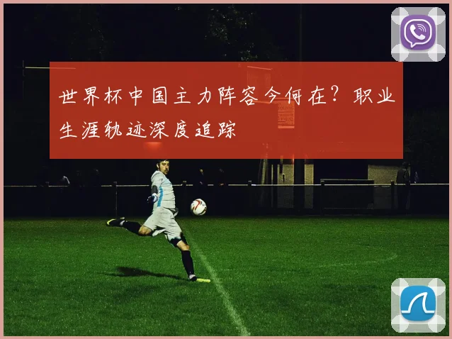 世界杯中国主力阵容今何在?职业生涯轨迹深度追踪