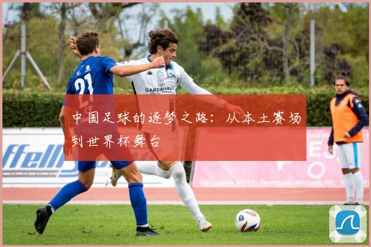 中国足球的逐梦之路:从本土赛场到世界杯舞台