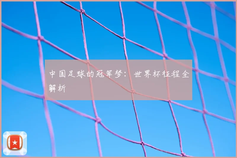 中国足球的冠军梦:世界杯征程全解析