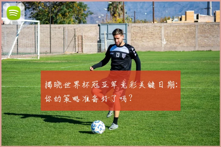 揭晓世界杯冠亚军竞彩关键日期：你的策略准备好了吗？