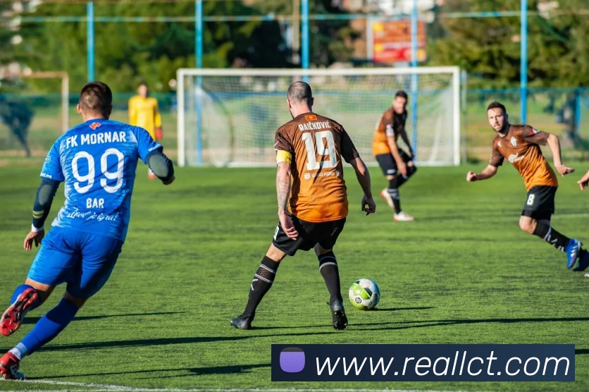 九游体育最新官网平台生态图